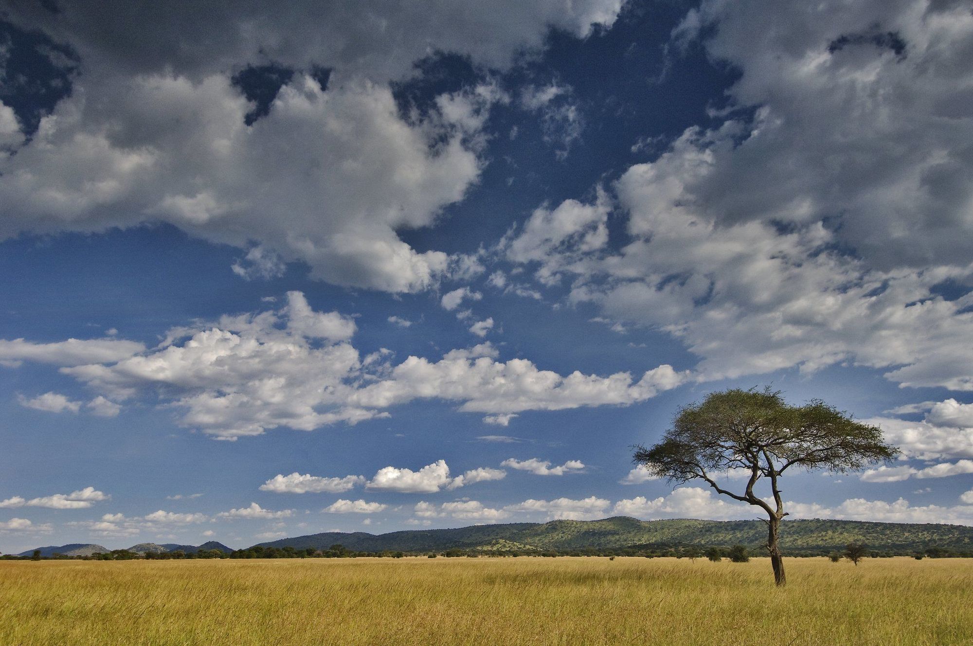 Kirawira Serena Camp Robanda Exterior foto